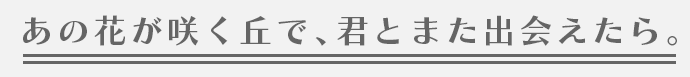 あの花が咲く丘で、君とまた出会えたら。
