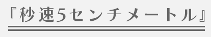 『秒速5センチメートル』