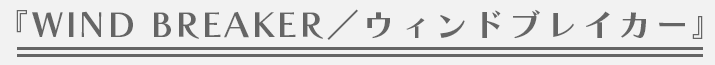 『WIND BREAKER/ウィンドブレイカー』